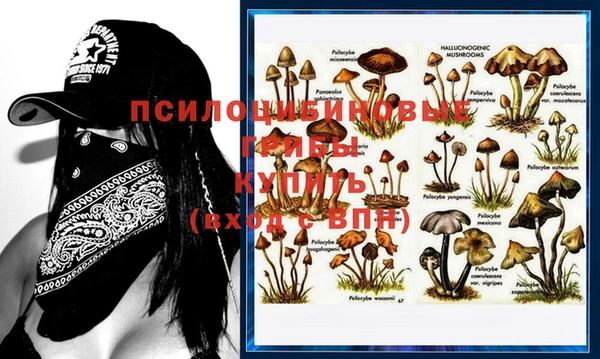 кокаин премиум Аркадак