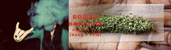 PSILOCYBIN Алексеевка