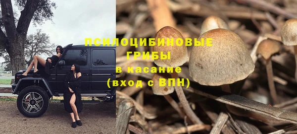 mdpv Алексин