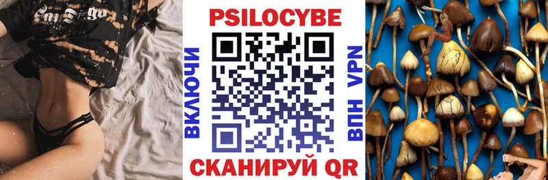 где купить   Зеленоградск  Галлюциногенные грибы MAGIC MUSHROOMS 